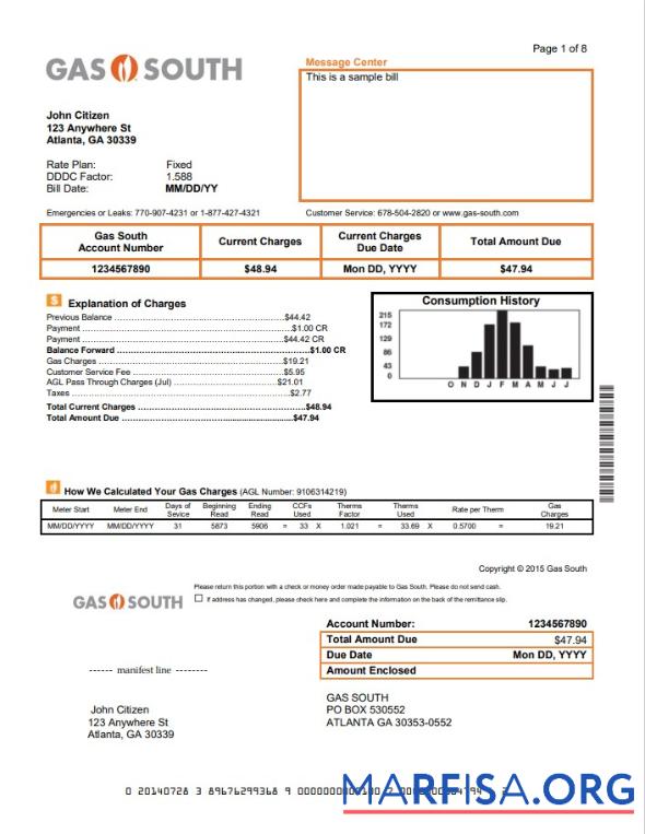 Blank USA New York Gas South utility bill template in Word and PDF format